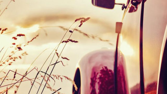 Conseils pour bien choisir son assurance collection